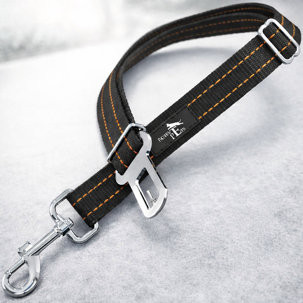 Ceinture de Sécurité Anti-Choc pour Chien | Pawsafely